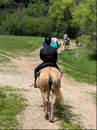 Horseback Riding